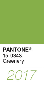 Pantone Color of the Year 2017 Greenery 15-0343