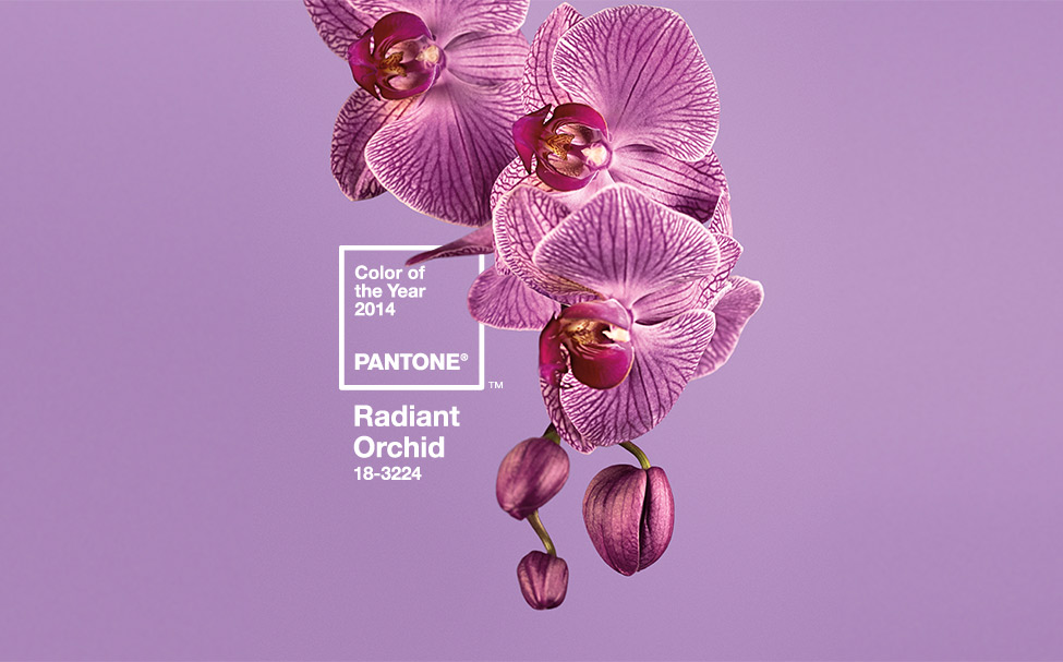 PANTONE COLOR OF THE YEAR 2014 - Radiant Orchid 18-3224