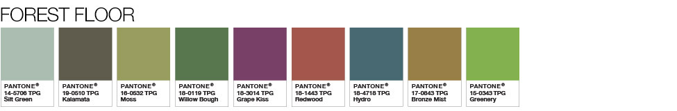 Color of the Year 2017 - Color Pairings and Palettes