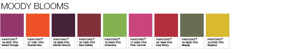 Color of the Year 2017 - Color Pairings and Palettes