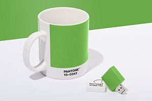 PANTONE Chip Drive in Greenery