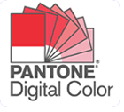 pantone digital color logo