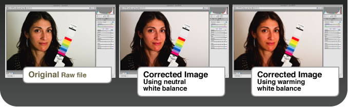 ColorChecker&reg; Primer - Examples