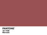 PANTONE 18-1438 Marsala (Color of the Year, 2015)