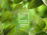 PANTONE COLOR OF THE YEAR 2017 Digital Wallpapers - Greenery 15-0343