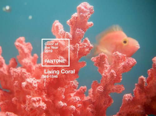 Pantone Color of the Year 2019 Digital Wallpapers - Living Coral 16-1546