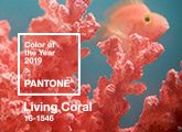 Pantone Color of the Year