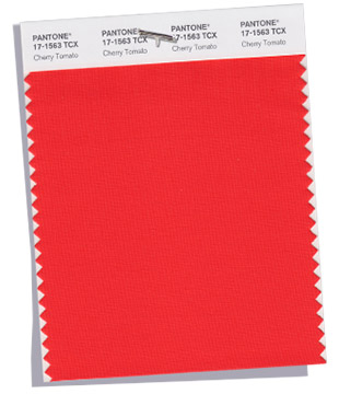 PANTONE 17-1563 Cherry Tomato