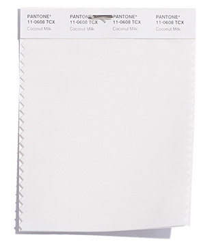 PANTONE 11-0608 Coconut Milk