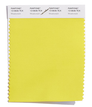 PANTONE 13-0646 Meadowlark