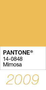 Pantone Color of the Year 2009 Mimosa 14-0848