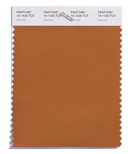 PANTONE 16-1438 Meerkat