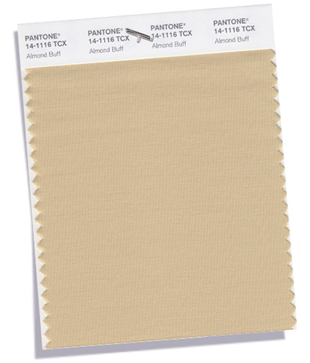 PANTONE 14-1116 Almond Buff