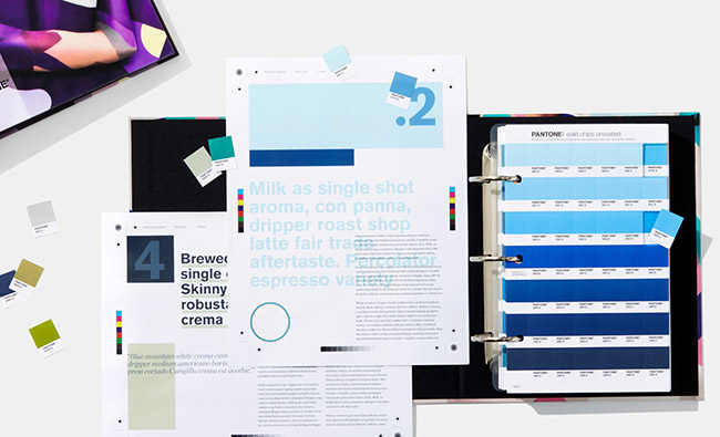 Pantone Solid Chips Coated and Uncoated