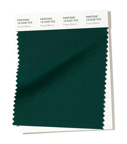 PANTONE 19-5230 Forest Biome