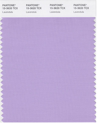 Pantone & WeddingWire: Stroke of Midnight Palette