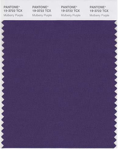 Pantone & WeddingWire: Stroke of Midnight Palette