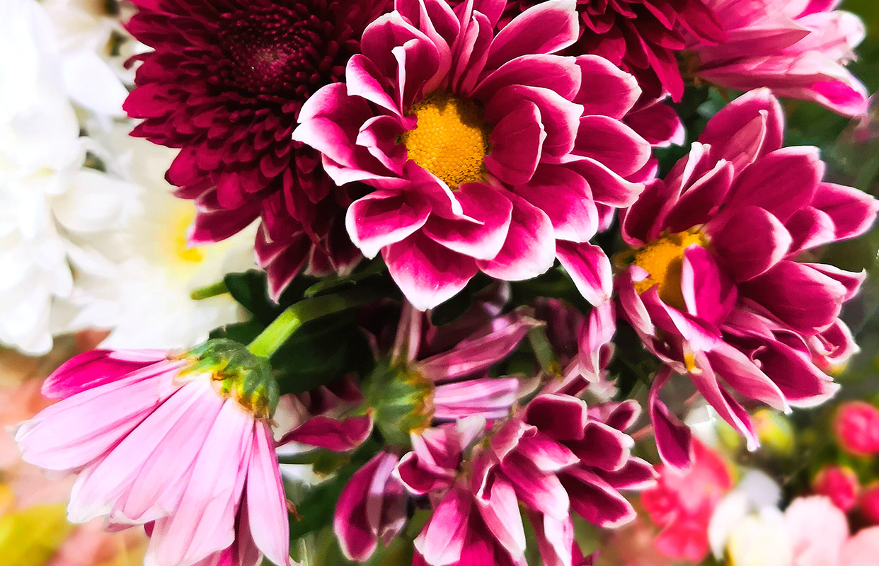 Summer Bouquet