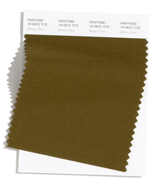 PANTONE 19-0622 Military Olive