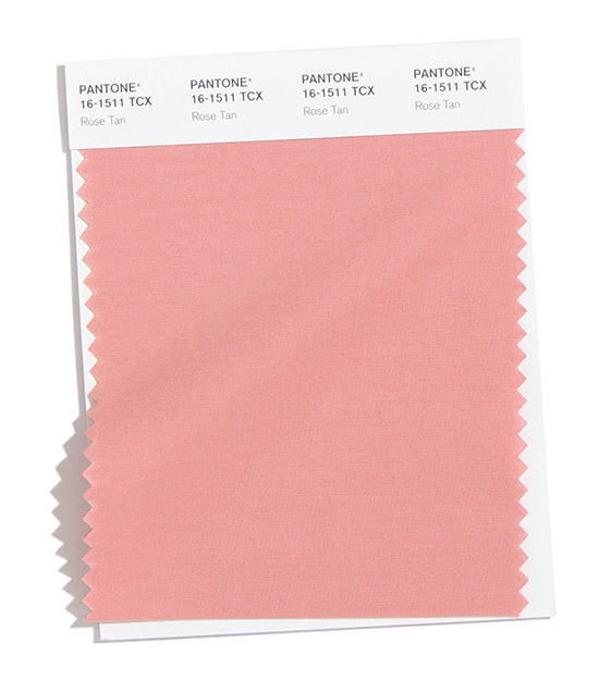 PANTONE 16-1511 Rose Tan