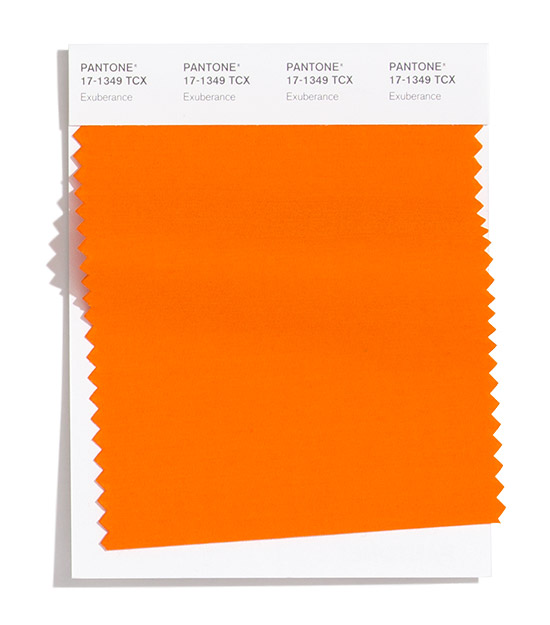 PANTONE 17-1349 Exuberance