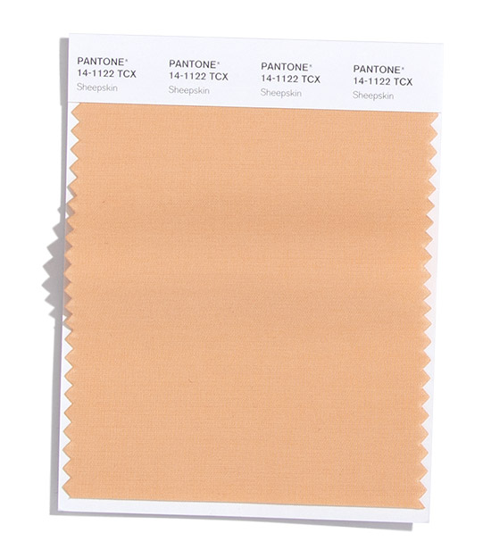 PANTONE 14-1122 Sheepskin