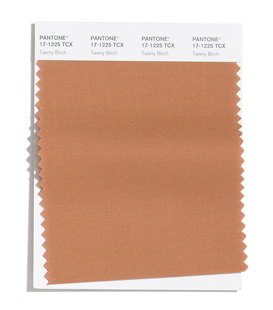 PANTONE 17-1225 Tawny Birch