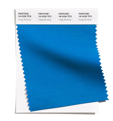 PANTONE 18-4250 Indigo Bunting