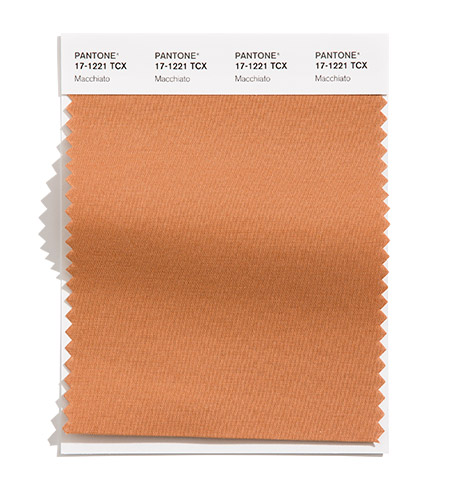 PANTONE 17-1221 Macchiato