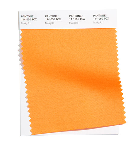 PANTONE 14-1050 Marigold