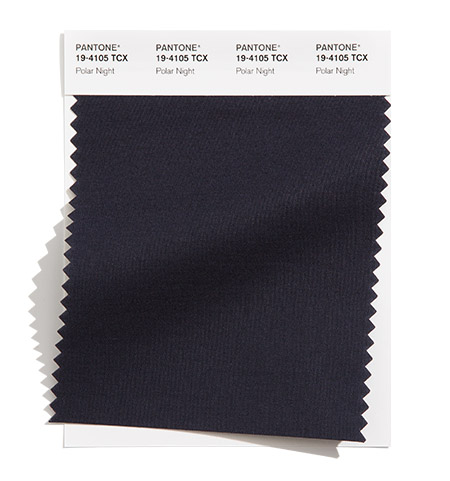 PANTONE 19-4105 Polar Night