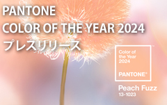 Color of the Year 2024 Press Release