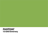 PANTONE COLOR OF THE YEAR 2017 Digital Wallpapers - Greenery
